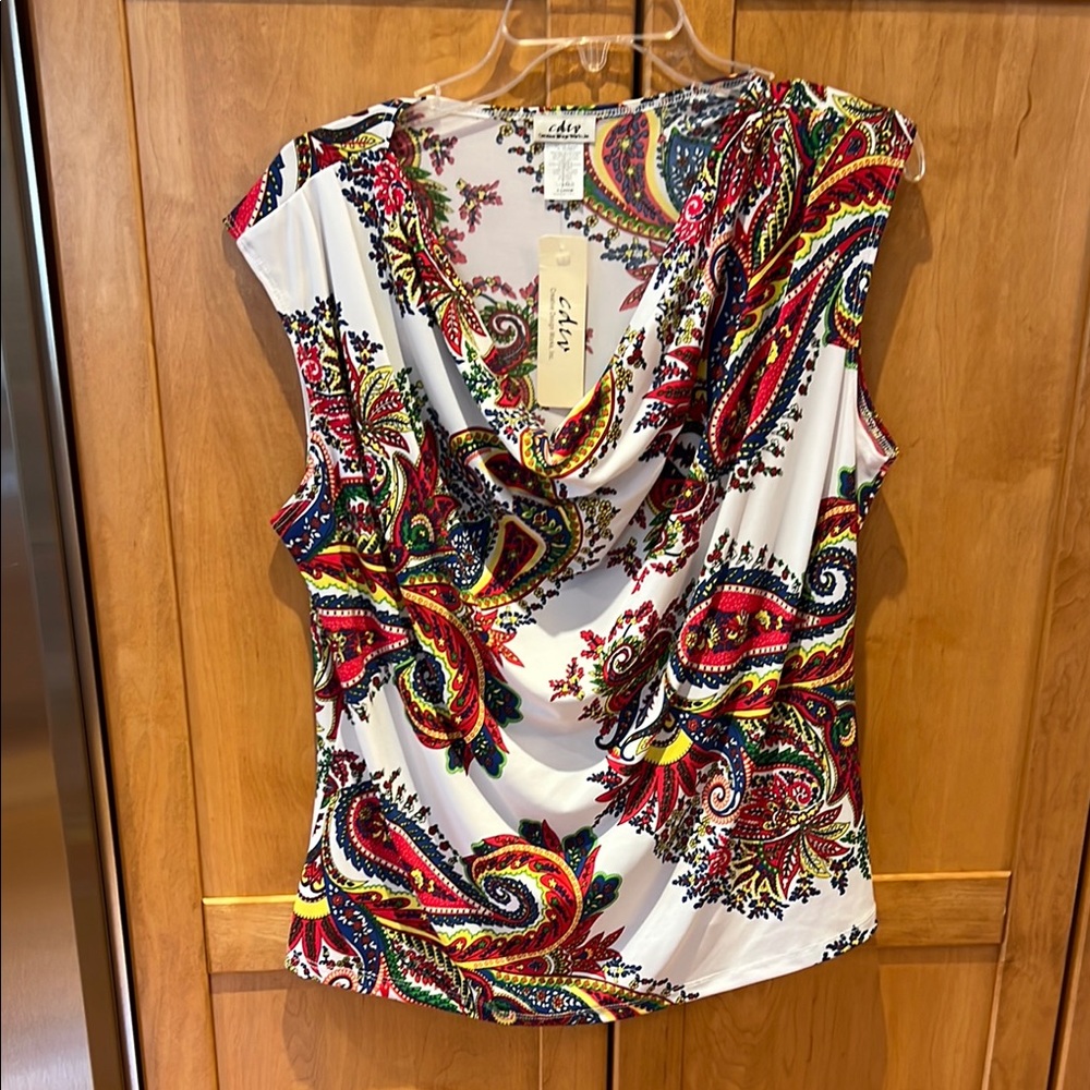 Multicolor Paisley Women's Top